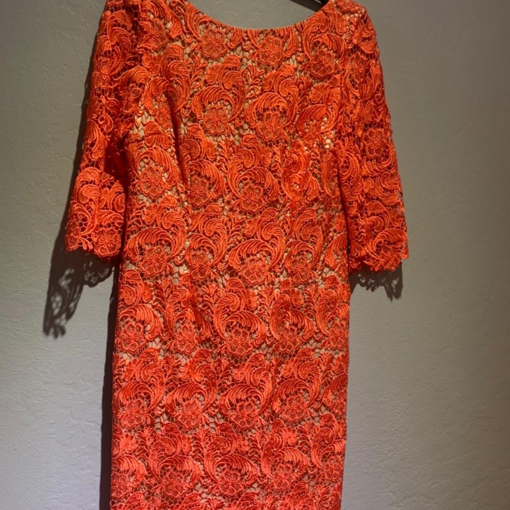Eliza J. Lace sheath dress, size 8